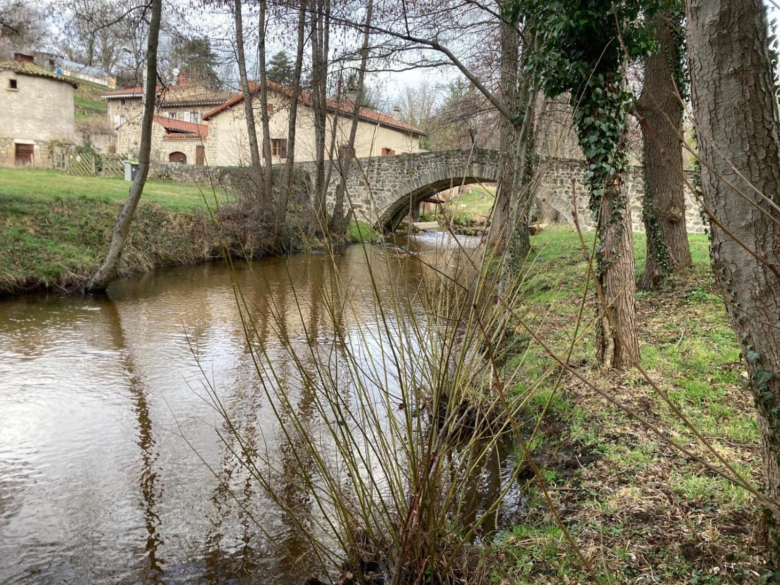 Jolie Maison De Campagne, Compostelle Soleymieux エクステリア 写真